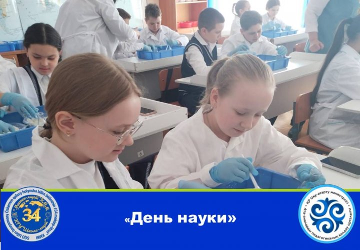 День науки